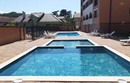 David lux vranjcka banja bazeni 10